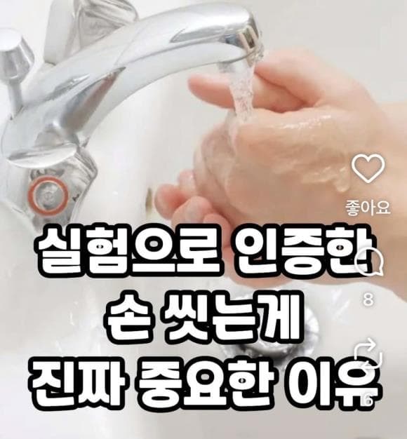 손을 잘 씻어야 하는 이유