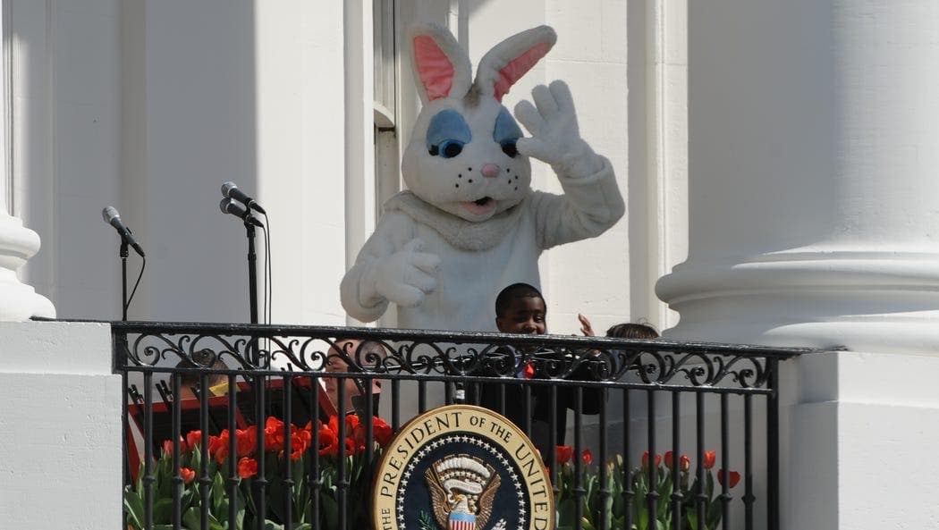 미국 근황: 하루하루가 만우절 같아서 장난칠 힘도 없음.