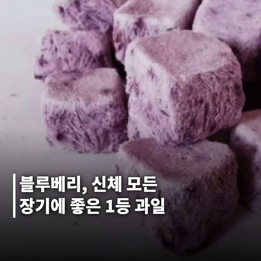 신체 모든 장기에 좋은 1등 과일, 블루베리를 매일 드세요