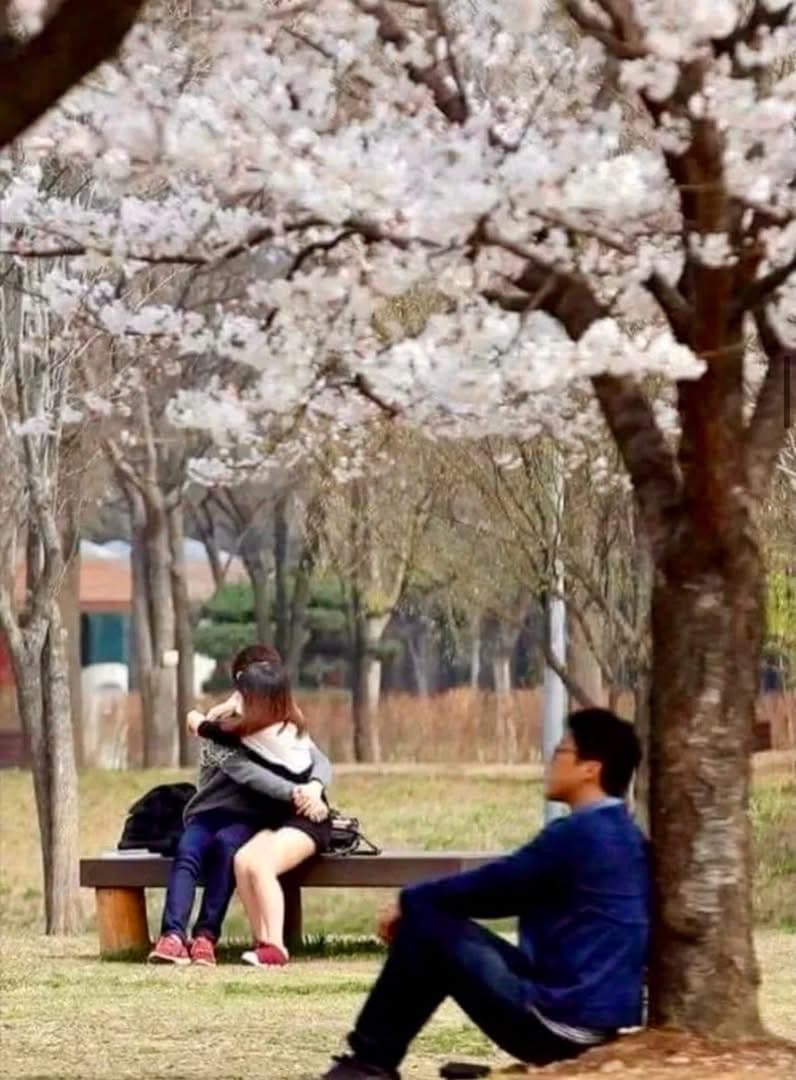 대한민국 역대 퓰리처상 수상 후보작