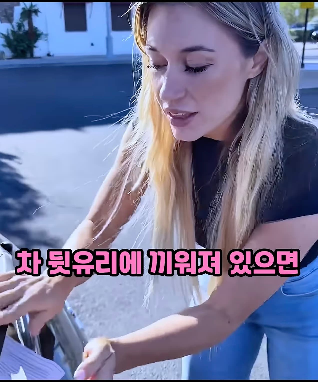 신종 미국 범죄
