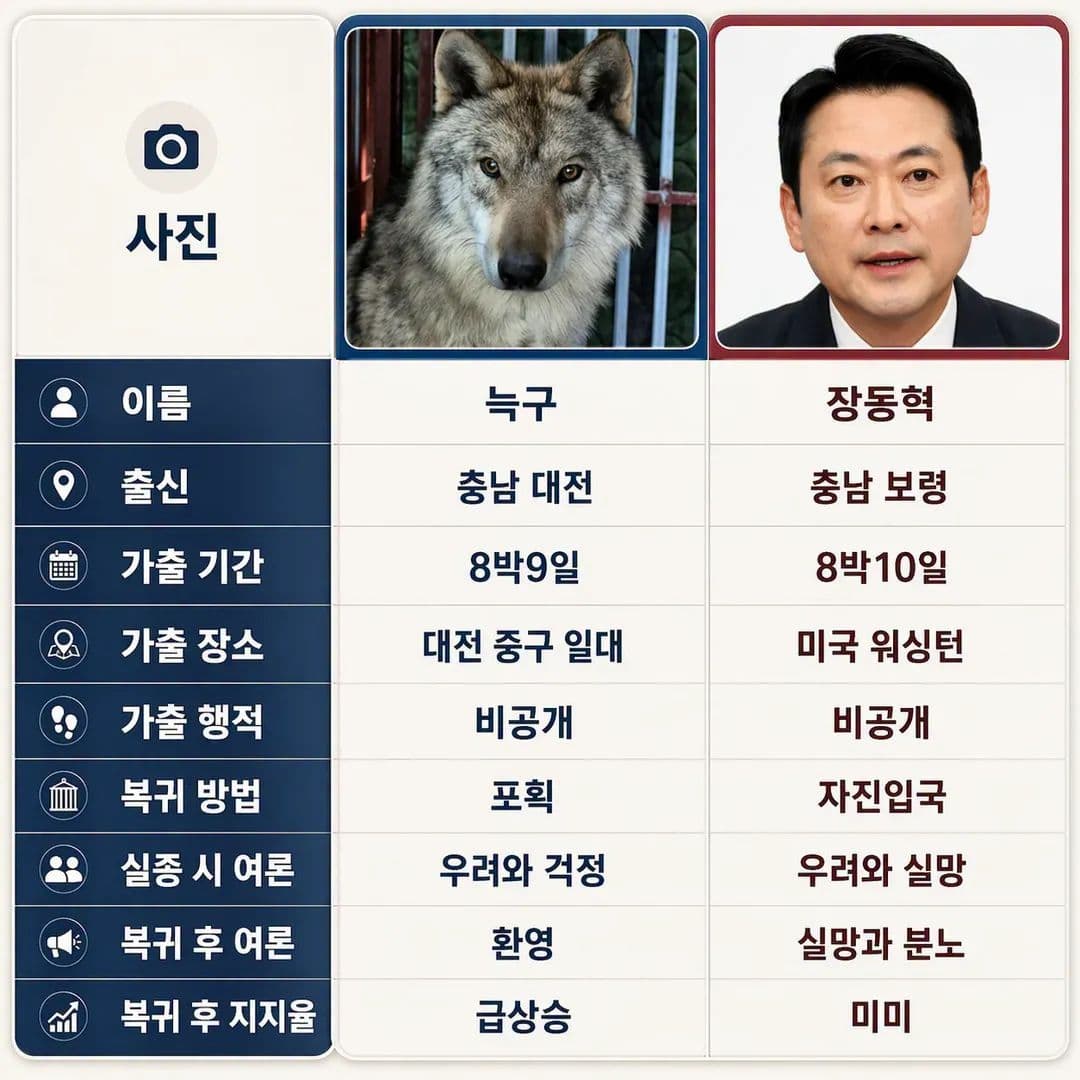 집나간 늑구와 장동혁 국민의힘 대표