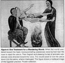 암컷은 왜 수컷보다 몸이 작을까?